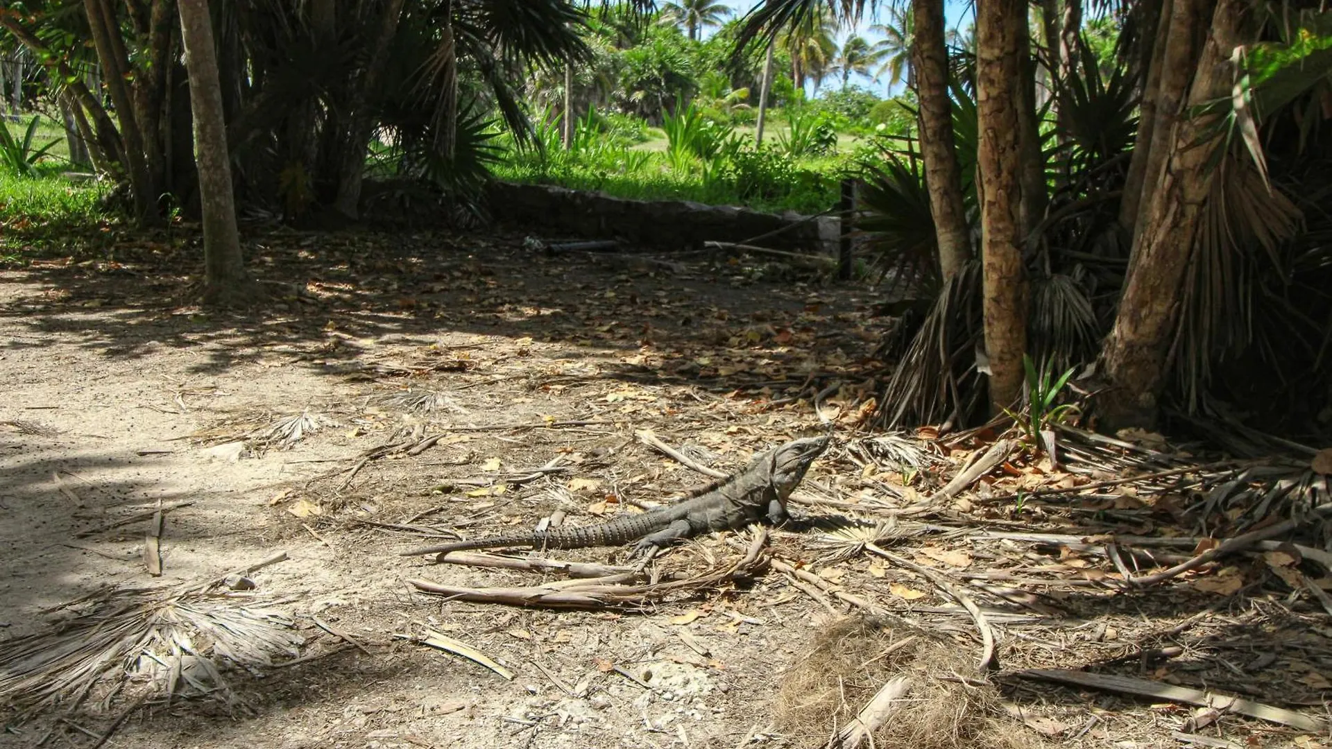Apartamento Amelia 307 Tulum